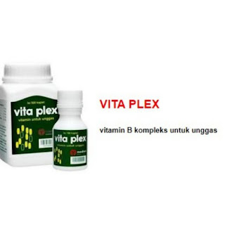 vita plex vitamin agar ayam cepat gemuk