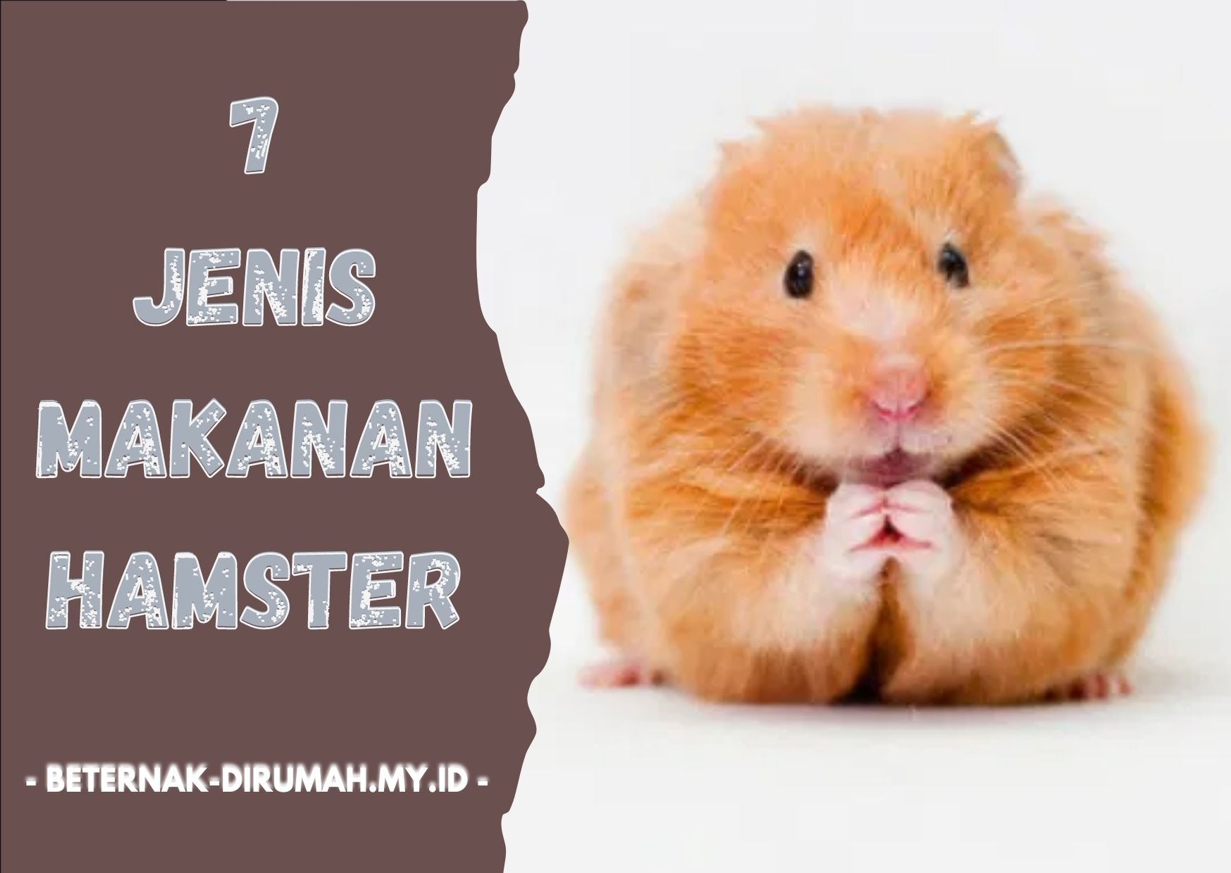 7 Jenis Makanan Hamster Biar Cepat Besar